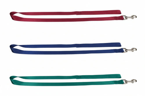 Guinzaglio Per Cani In Nylon- - Cm.100X2 - 5 Pezzi Il Campo