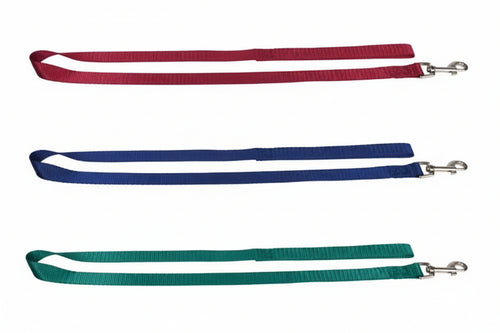 Guinzaglio Per Cani In Nylon- - Cm.100X2,5 - 5 Pezzi Il Campo
