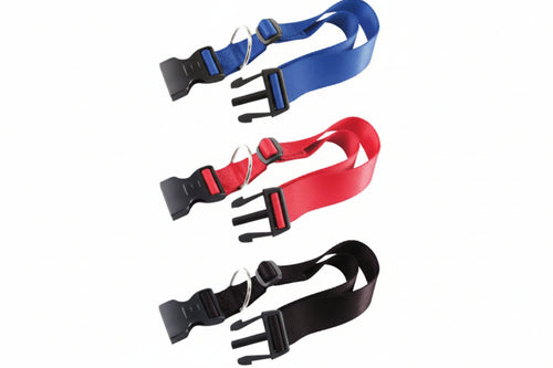 Collare Nylon Classic Per Cani- - Cm.30-44 Colore Blu C15/44 - 2 Pezzi Ferplast