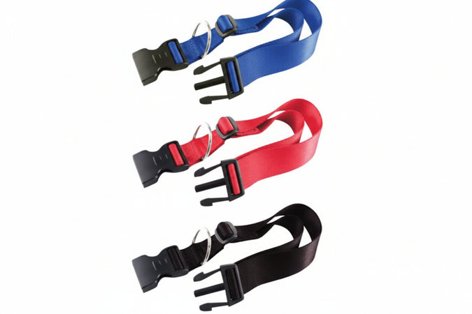 Collare Nylon Classic Per Cani- - Cm.30-44 Colore Nero C15/44 - 2 Pezzi Ferplast