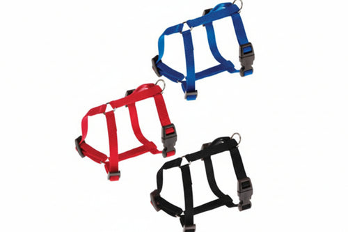 Pettorine Nylon Champion P Per Cani- - Taglia S Colore Blu - 2 Pezzi Ferplast