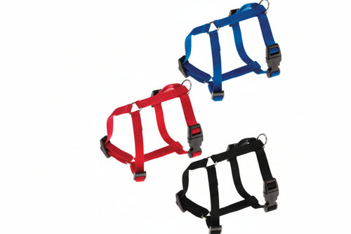 Pettorine Nylon Champion P Per Cani- - Taglia S Colore Nero - 2 Pezzi Ferplast