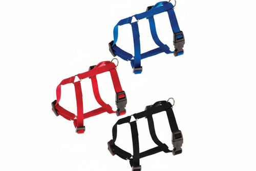 Pettorine Nylon Champion P Per Cani- - Taglia M Colore Blu - 2 Pezzi Ferplast