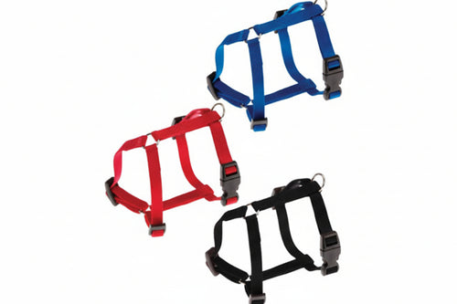 Pettorine Nylon Champion P Per Cani- - Taglia M Colore Rosso - 2 Pezzi Ferplast