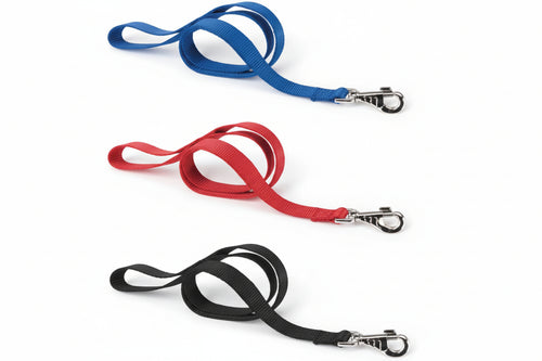 Guinzagli Nylon Club Per Cani- - Cm.1X120 Colore Blu G10/120 - 2 Pezzi Ferplast