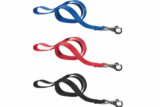 Guinzagli Nylon Club Per Cani- - Cm.1X120 Colore Rosso G10/120 - 2 Pezzi Ferplast