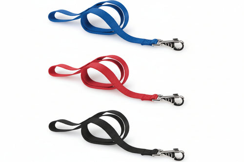 Guinzagli Nylon Club Per Cani- - Cm.1X120 Colore Nero G10/120 - 2 Pezzi Ferplast