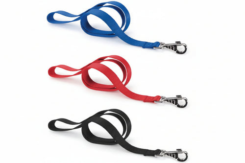 Guinzagli Nylon Club Per Cani- - Cm.1,5X120 Colore Nero G15/120 - 2 Pezzi Ferplast