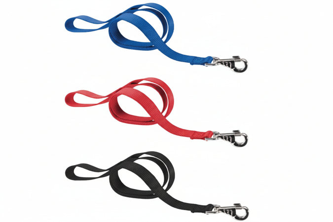Guinzagli Nylon Club Per Cani- - Cm.2X120 Colore Blu G20/120 - 2 Pezzi Ferplast