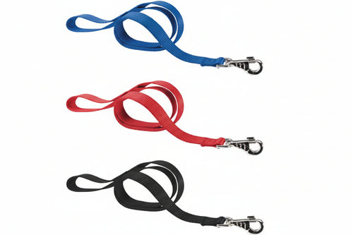Guinzagli Nylon Club Per Cani- - Cm.2X120 Colore Nero G20/120 - 2 Pezzi Ferplast