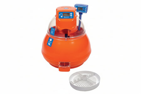 Incubatrice Covatutto Digitale Automatica 16L Pro Da 16 Uova Cm.31,5X27,5X31,5H. (16L Pro) Novital