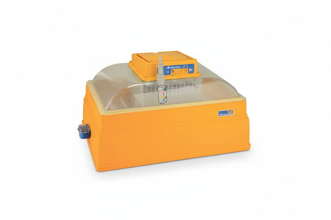 Incubatrice Covatutto Da 54 Uova Cm.58X41X37,5H. Novital