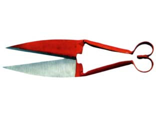 Forbice Tosa Pecore Cm.30 Il Campo