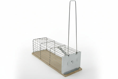 Trappole Normali A Galleria Per Topi Base In Acciaio Inox- - Cm.21X9X8,5H - 3 Pezzi