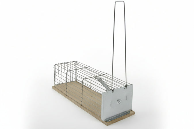 Trappole Normali A Galleria Per Topi Base In Acciaio Inox- - Cm.21X9X8,5H - 3 Pezzi