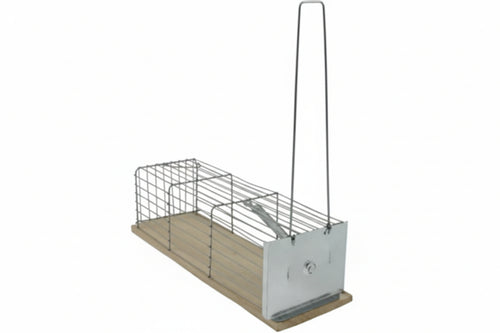 Trappole Normali A Galleria Per Topi Base In Acciaio Inox- - Cm.24X9X9H - 3 Pezzi