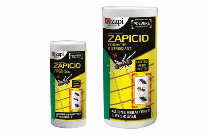 Insetticida Formiche E Scarafaggi Zapicid Polvere Spargiprodotto- - Gr.250 Flacone Spargiprodotto - 6 Pezzi Zapi