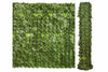 Siepe Ornamentale Artificiale Con Foglie Lauro- - Mt.3X1H. - 1 Rotolo T-Rex