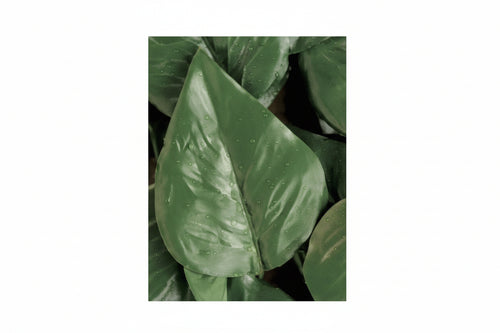 Foglie Lauro Di Ricambio Per Siepe Artificiale Pz.20 Trex