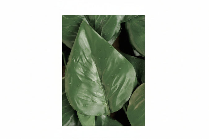 Foglie Lauro Di Ricambio Per Siepe Artificiale Pz.20 Trex