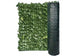 Siepe Ornamentale Foglie Di Edera Con Rete Ombreggiante- - Mt.3X1H. - 1 Rotolo T-Rex