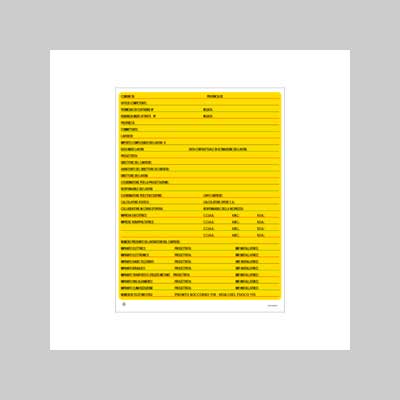 Cartello 'Concessione Edile' Colorato 60X80 Cm - 10 Pezzi