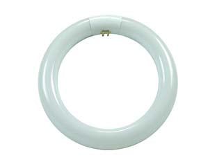 Circoline Trifosforo Fluorescenti T9 G10Q- - 32W - 6500 °K Fredda - 2000 Lm - 305X30 - 6 Pezzi Airam