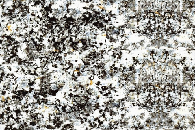 Plastica Adesiva Granito Grigio (280-3162)- - Cm.45H. In Rotoli Da Mt.15 - 1 Rotolo Alkor