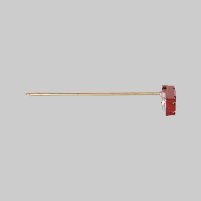 Termostato Per Scaldacqua Bipolare 30 Cm