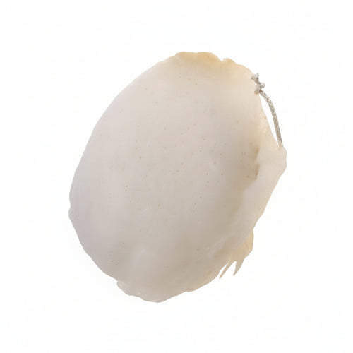 Cuffie Di Lana D?Agnello- - Ø Mm.140 Per Trapano Pg 339.00 - 5 Blister Pg