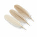 Lamelle In Legno Per Spinare- - Tipo 10 Mm.53X19X4 Pg.669.10 - 2 Blister Pg