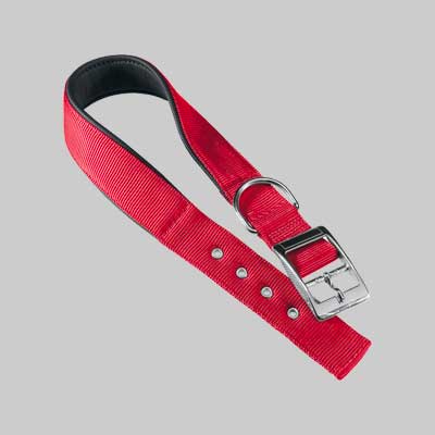 Collare Per Cani 'Daytona C' 25 Mm X 45÷53 Cm - Colore Rosso - Ferplast