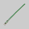 Collare Per Cani Sfoderato 16X370 Mm