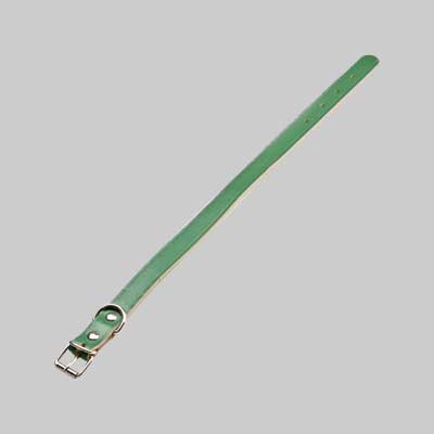 Collare Per Cani Sfoderato 25X510 Mm