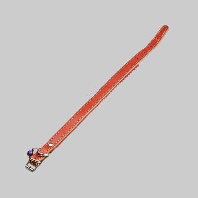 Collare Per Cani Foderato Con Campanello 12X330 Mm