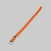 Collare Per Cani Bufalo Conciato 25X510 Mm