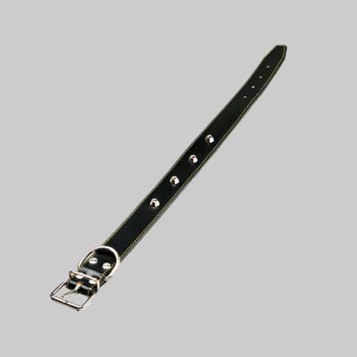 Collare Per Cani Foderato Con Borchie 16X370 Mm