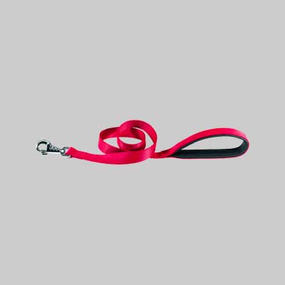 Guinzaglio Per Cani 'Daytona G' 15 Mm X 120 Cm - Colore Blu - Ferplast