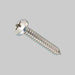 Vite Autofilettante Tc Zincata 3,9X13 Mm - 1000 Pezzi- Ambrovit