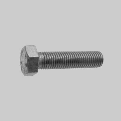 Bullone T.E. Inox 5X25 - 500 Pezzi
