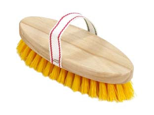 Spazzola Bruscone Ovale Sintetico- - Mm.220X95X50H. - 3 Pezzi