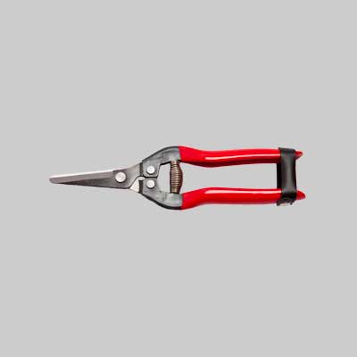 Forbici Cogliuva 19 Falci 19 Cm - Falci
