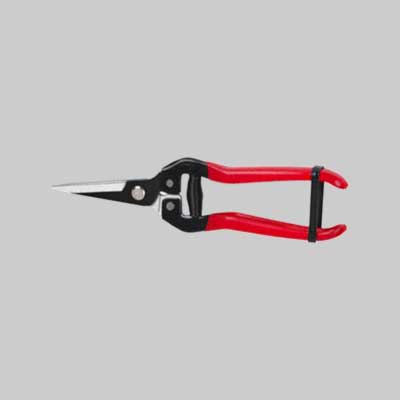 Forbici Coglifrutta E Ortaggi Ideal Star 19 Cm - Ideal Star