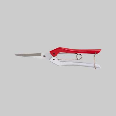Forbici Coglifrutta Ideal Star 20 Cm - Ideal Star