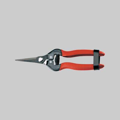 Forbici Coglifrutta E Ortaggi Ausonia 19 Cm - Ausonia