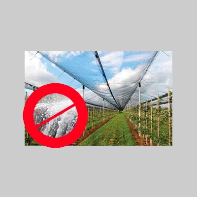 Rete Antigrandine Ideal Star Rotolo 3X100 Mt (Piegato 1,5 Mt) - Colore Verde - Ideal Star