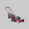 Rasaerba Semovente 4 In 1 Cardinale Con Motore Briggs & Stratton 161 Cc - Taglio 53 Cm - Ideal Star