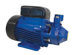 Elettropompa Periferica Aspirazione Frontale Pm40/B Kw 0,75 Lowara