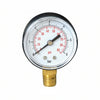 Manometro Per Pompe Con Attacco Radiale Verticale Dn Ø Mm.55 Attacco Radiale Raccordo M 1/4