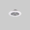 Ventilatore E Plafoniera Rgb A Soffitto 'Stralsund' Ø 50 Cm - 26,8 Watt, 2600Lm